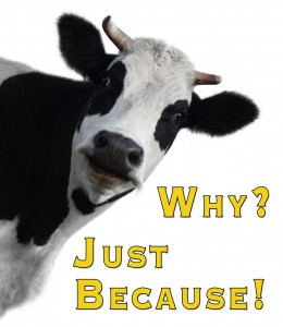 Cow Just Because Day